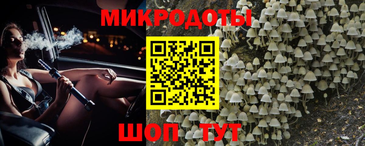 Псилоцибиновые грибы GOLDEN TEACHER Кореновск